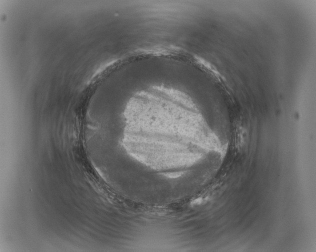 X0000081471158200701261956