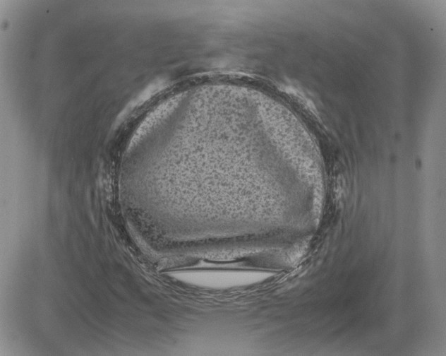 X0000081471159200701261956