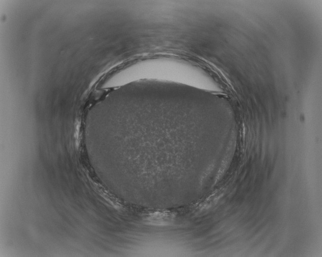 X0000081471160200701261956