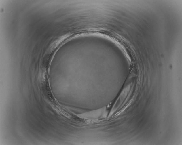 X0000081471161200701261956