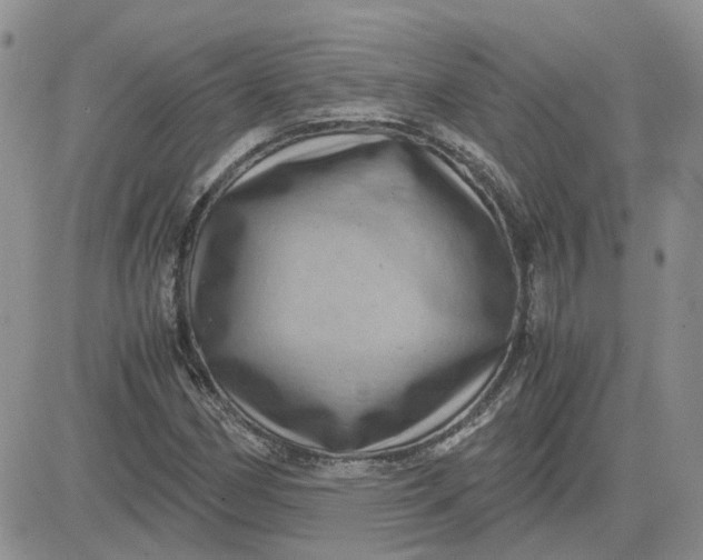 X0000081471162200701261956