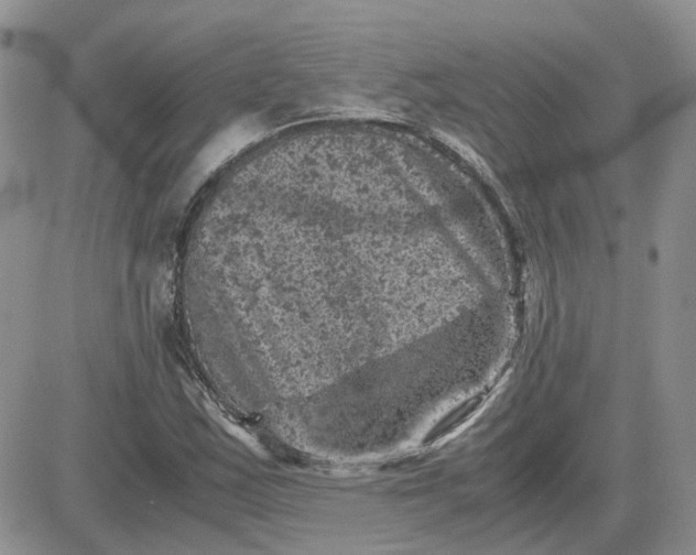 X0000081471163200701261955