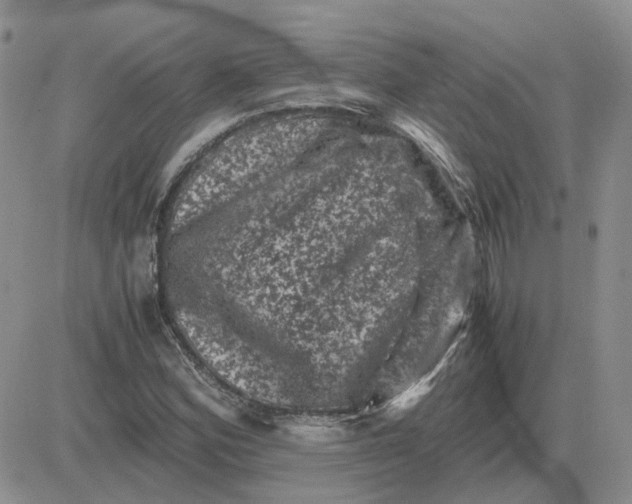 X0000081471164200701261955