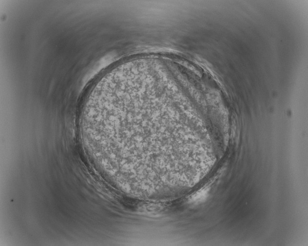 X0000081471165200701261955