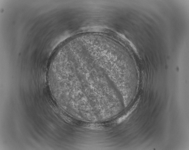 X0000081471166200701261955