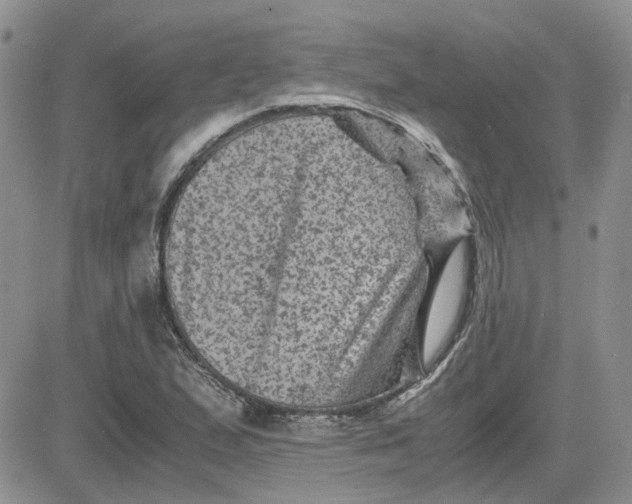 X0000081471167200701261955