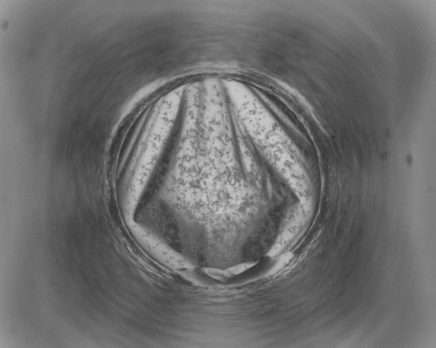 X0000081471168200701261955