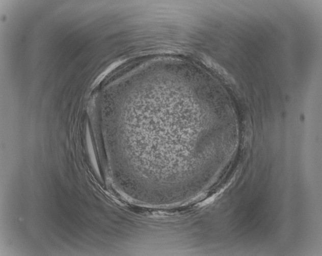 X0000081471169200701261955