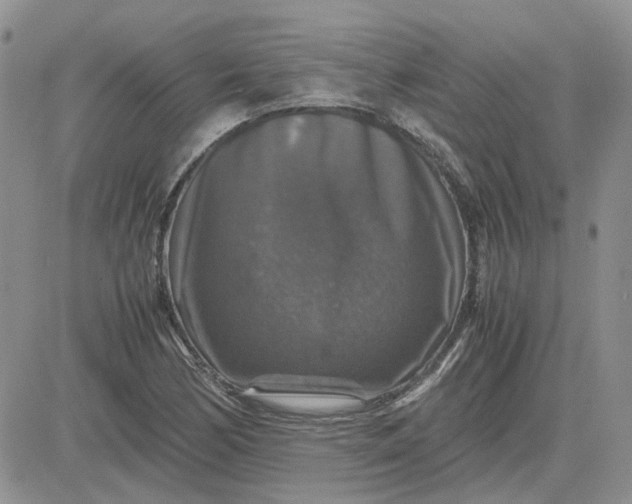 X0000081471170200701261955