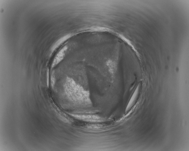 X0000081471171200701261955