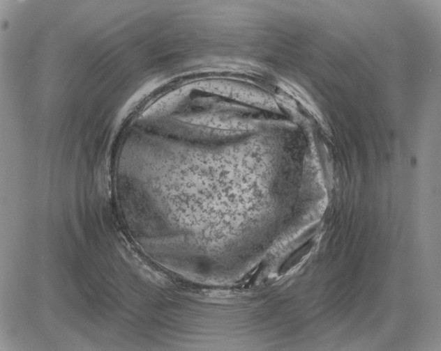 X0000081471172200701261955