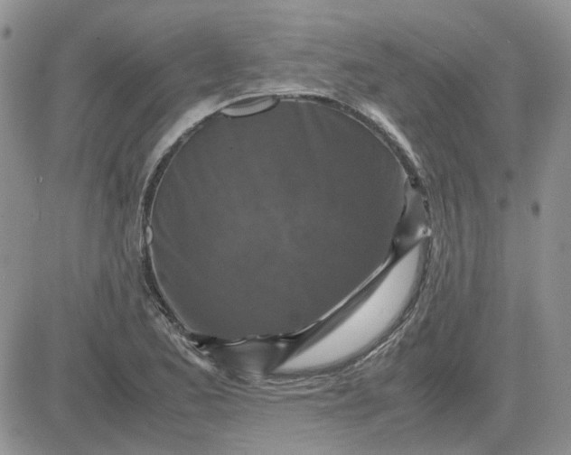 X0000081471173200701261955