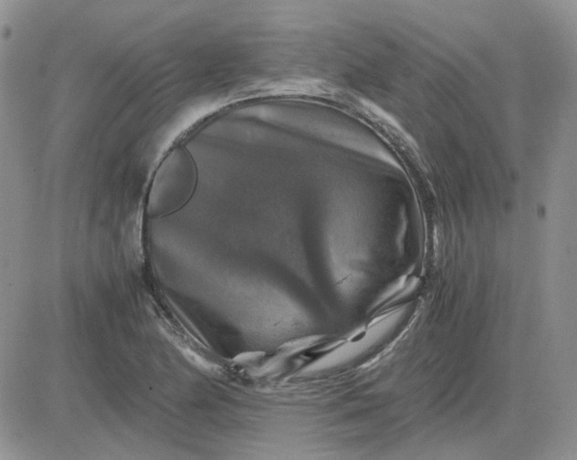 X0000081471174200701261955