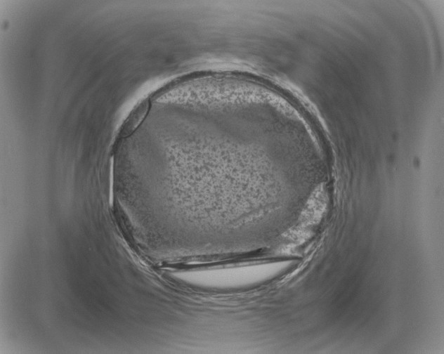 X0000081471175200701261955