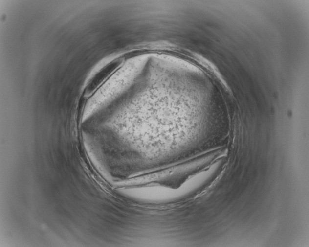 X0000081471176200701261955