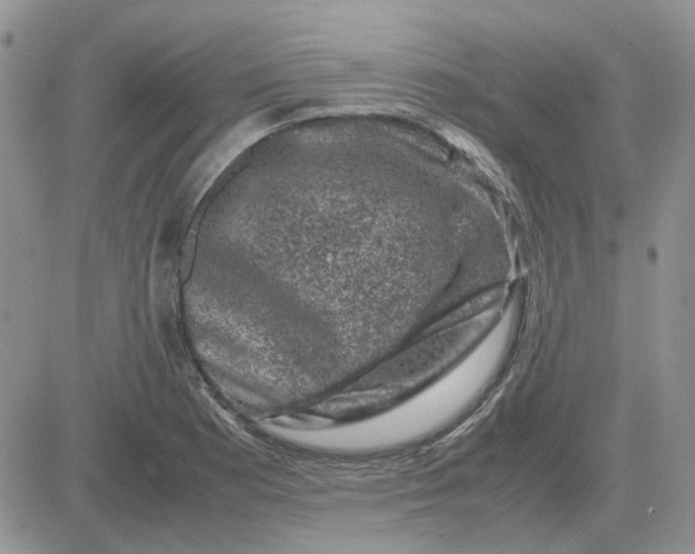 X0000081471177200701261955