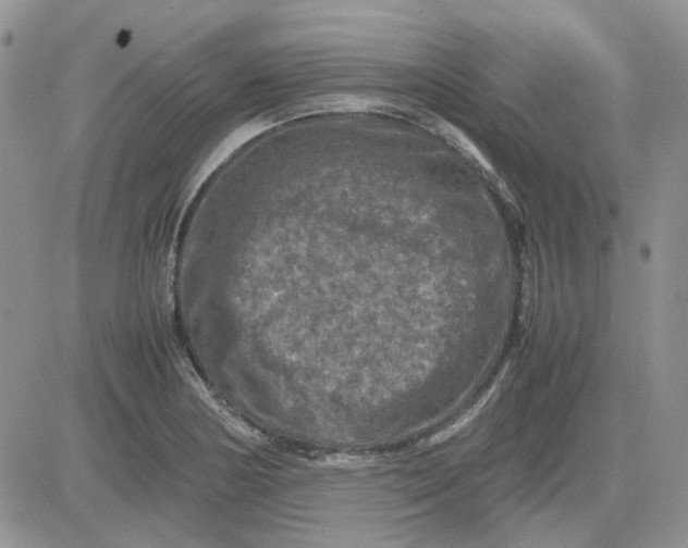 X0000081471178200701261955