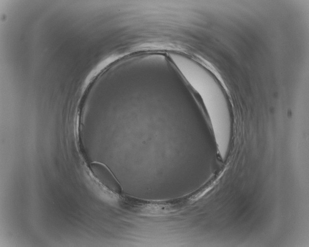 X0000081471179200701261955