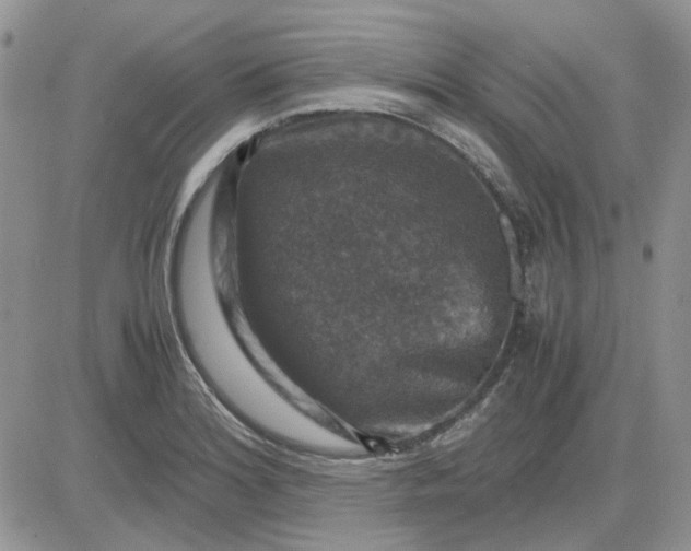 X0000081471180200701261955