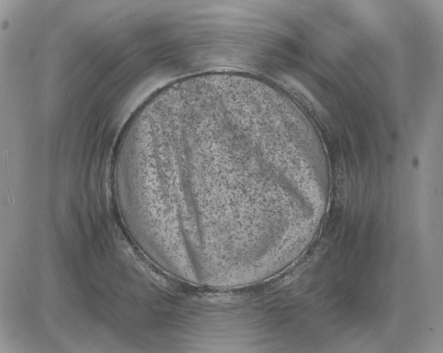 X0000081471182200701261955