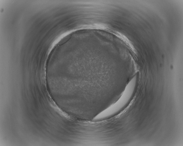 X0000081471184200701261955