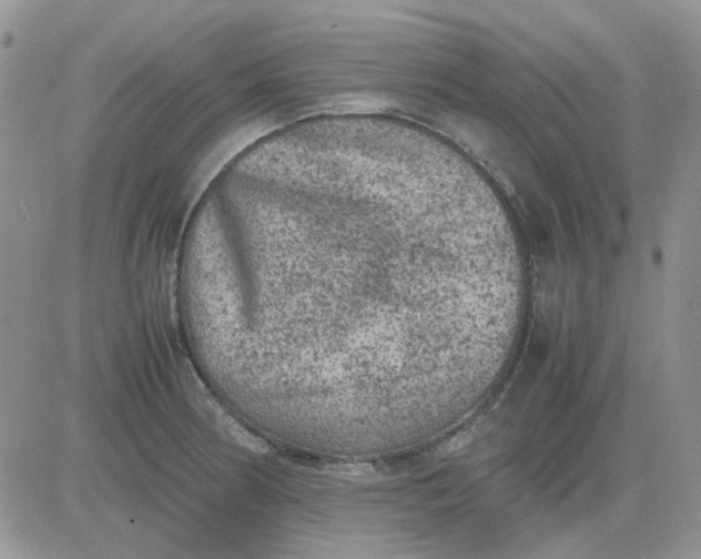 X0000081471186200701261955