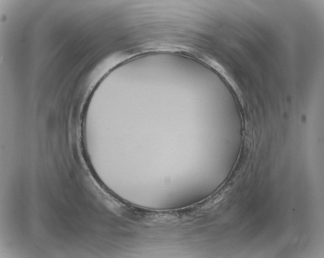 X0000081471187200701261955