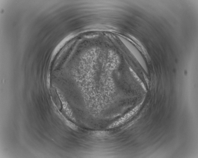 X0000081471188200701261955