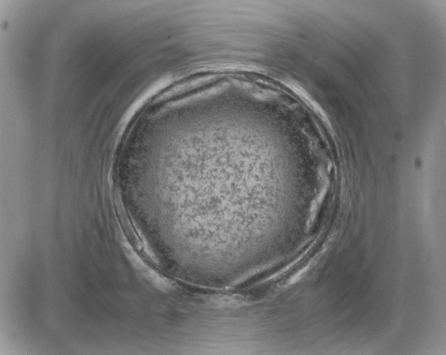 X0000081471189200701261955