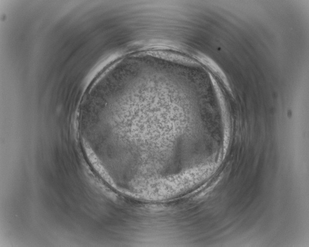 X0000081471190200701261955