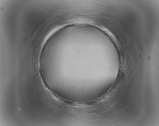 X0000081471191200701261955