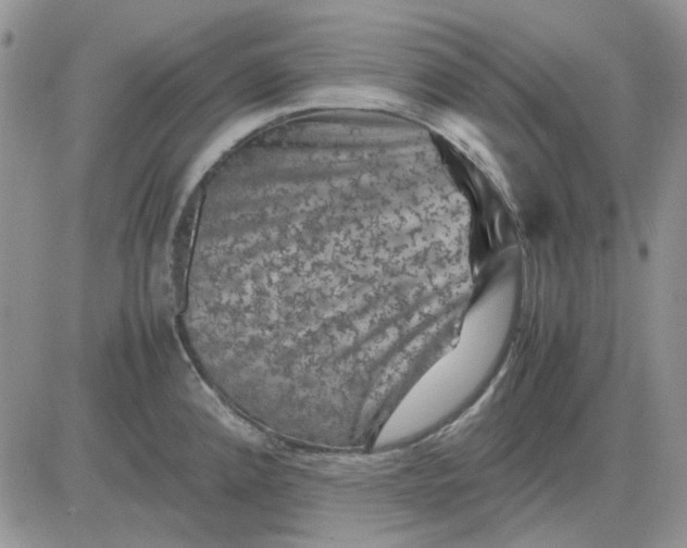 X0000081471192200701261955