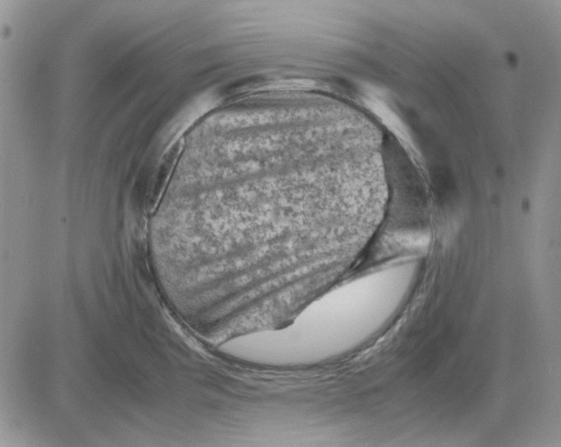 X0000081471193200701261955