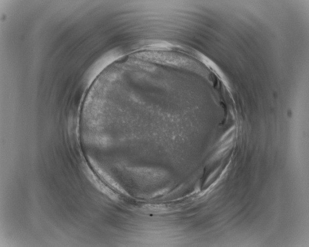 X0000081471194200701261955