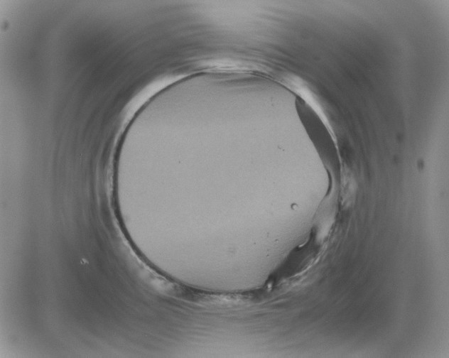 X0000081471195200701261955