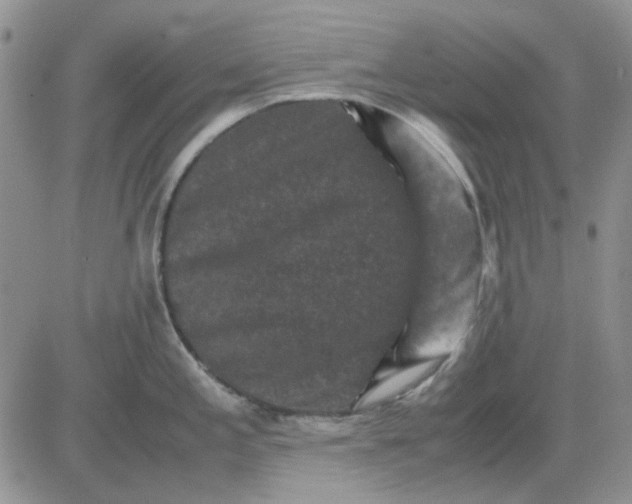 X0000081471197200701261955