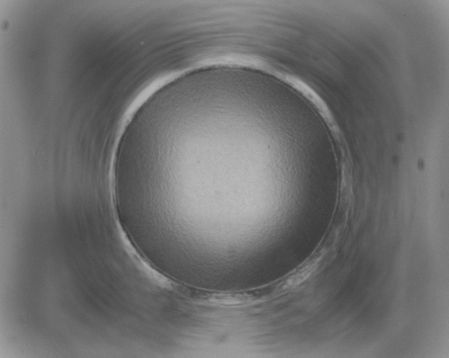 X0000081471199200701261955