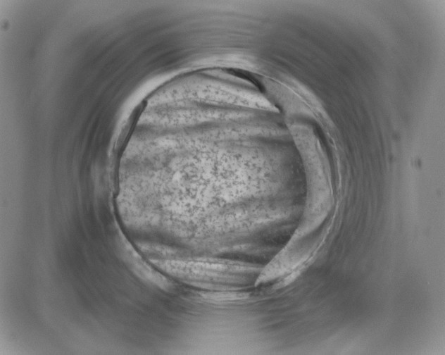 X0000081471200200701261955