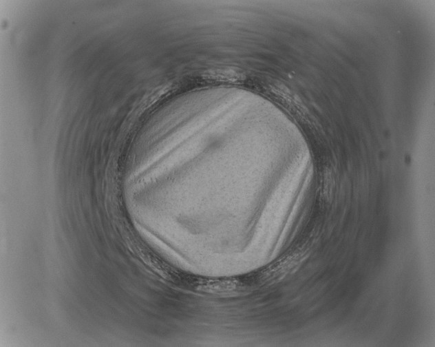 X0000081471201200701261954