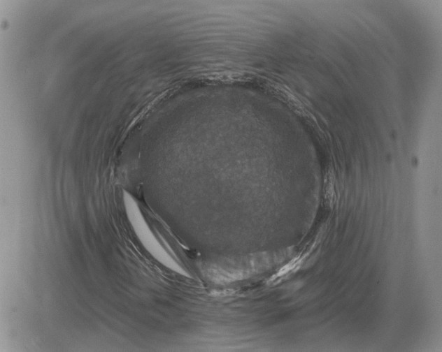 X0000081471202200701261954