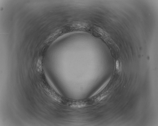 X0000081471203200701261954