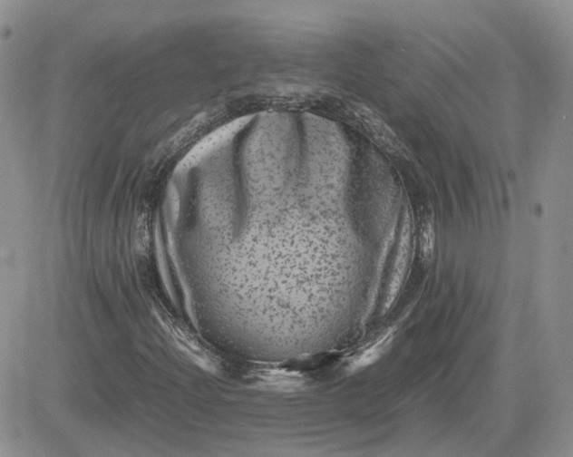 X0000081471204200701261954