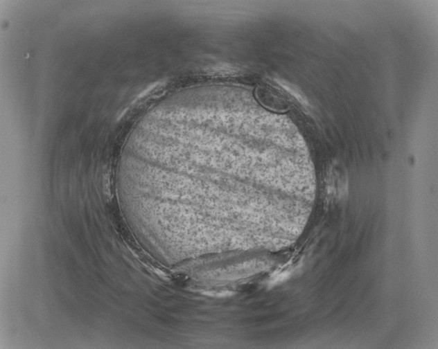 X0000081471205200701261954