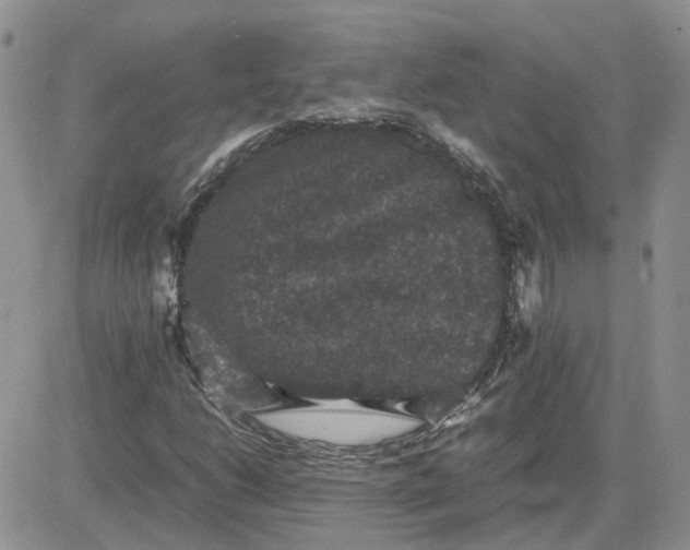 X0000081471206200701261954