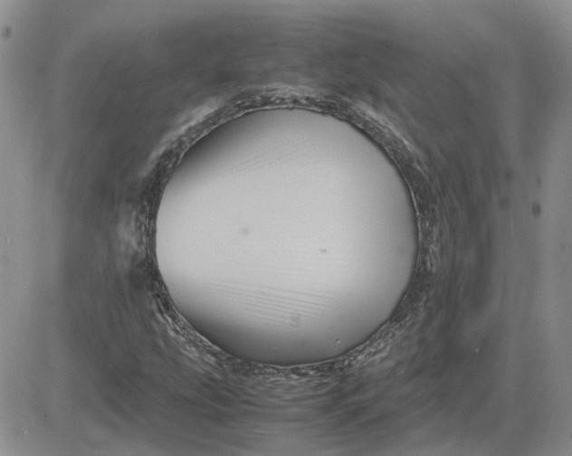 X0000081471207200701261954