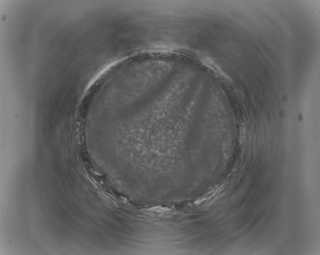 X0000081471208200701261954