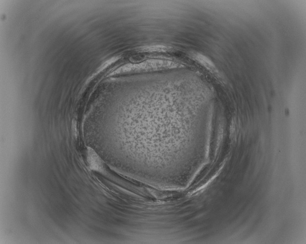 X0000081471209200701261954