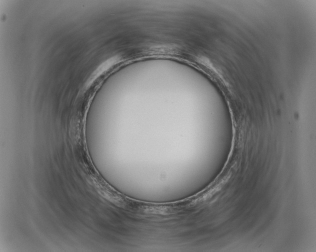 X0000081471211200701261954