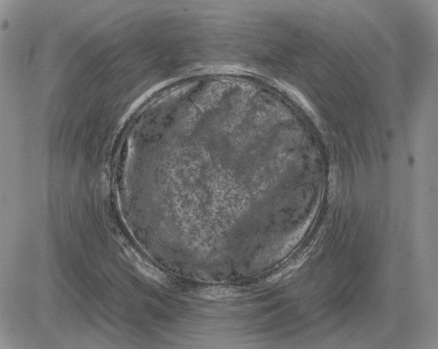 X0000081471212200701261954