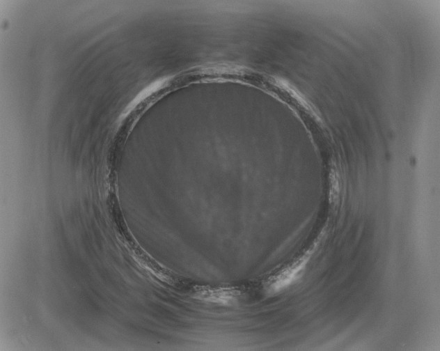 X0000081471213200701261954